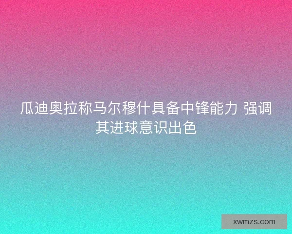 瓜迪奥拉称马尔穆什具备中锋能力 强调其进球意识出色