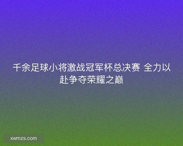 千余足球小将激战冠军杯总决赛 全力以赴争夺荣耀之巅