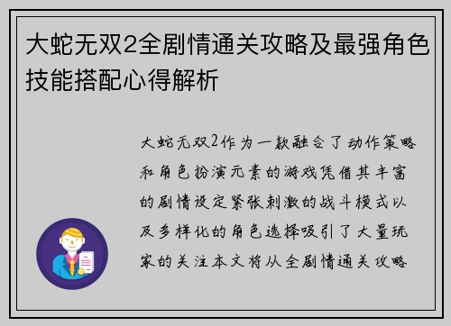 大蛇无双2全剧情通关攻略及最强角色技能搭配心得解析